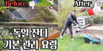 독일 잔디 관리 요령 –  잔디 초보는 꼭 보세요 ~