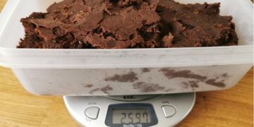 [독일맘 칼럼]독일에서 단팥빵 만들어 보기 – 100% 독일 재료로 만들기 가능