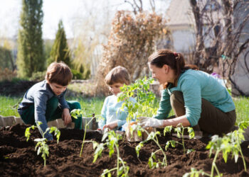주말농장(Schrebergarten), 임대 전 꼭 알아야 할 것과 임대 후 지켜야 할 규칙들