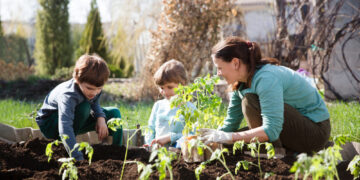 주말농장(Schrebergarten), 임대 전 꼭 알아야 할 것과 임대 후 지켜야 할 규칙들
