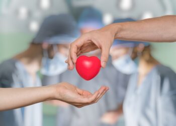 독일의 장기 기증 ( Organspende) 현황, 기증자 없어 해마다 천명 이상 사망