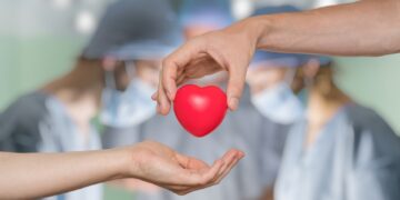 독일의 장기 기증 ( Organspende) 현황, 기증자 없어 해마다 천명 이상 사망