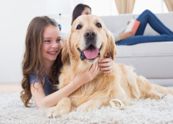 알아두면 좋은 독일의 반려견 세금(Hundesteuer) 제도