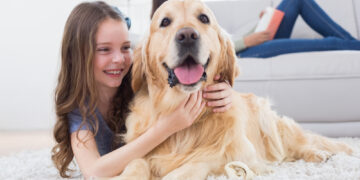 알아두면 좋은 독일의 반려견 세금(Hundesteuer) 제도