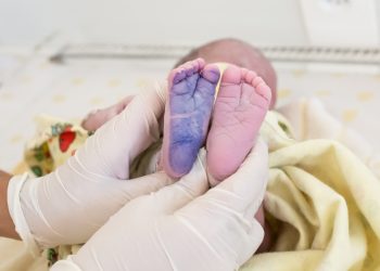 독일에서 출산 후 단계별로 반드시 해야 할 일들