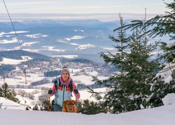 바이에른 숲(Bayerischer wald)에서 완벽한 겨울 휴가를 즐기는 법