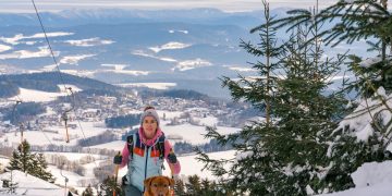 바이에른 숲(Bayerischer wald)에서 완벽한 겨울 휴가를 즐기는 법