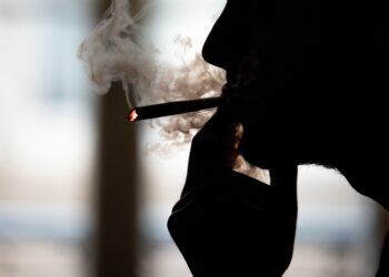 4월부터 대마초 사용 허용되는 독일, 대마초 사용과 관련한 규정 및 주의 사항