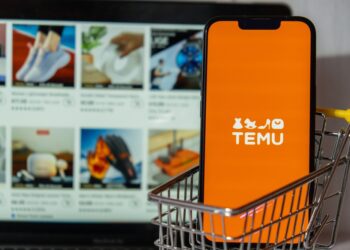 독일에서 인기 급성장 중인 중국 온라인 쇼핑몰 Temu, 쇼핑하기에 안전할까? – Temu에서 쇼핑할 때 주의해야 하는 것