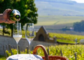 독일의 스파클링 와인(Sekt)과 프로세코(Prosecco), 샴페인의 차이점은 무엇일까?
