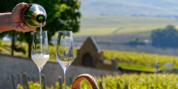 독일의 스파클링 와인(Sekt)과 프로세코(Prosecco), 샴페인의 차이점은 무엇일까?