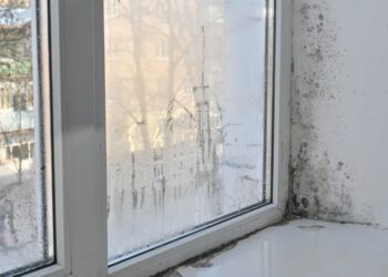 독일 겨울철 벽 습기, 난방비 새는 숨은 원인 – 해결법과 세입자가 반드시 알아야 할 권리와 조치
