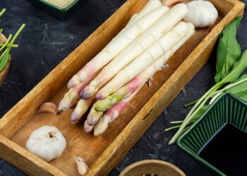 독일 봄 대표 식재료 아스파라거스 제철 시작 – 신선하게 고르는 법부터 보관·조리 팁